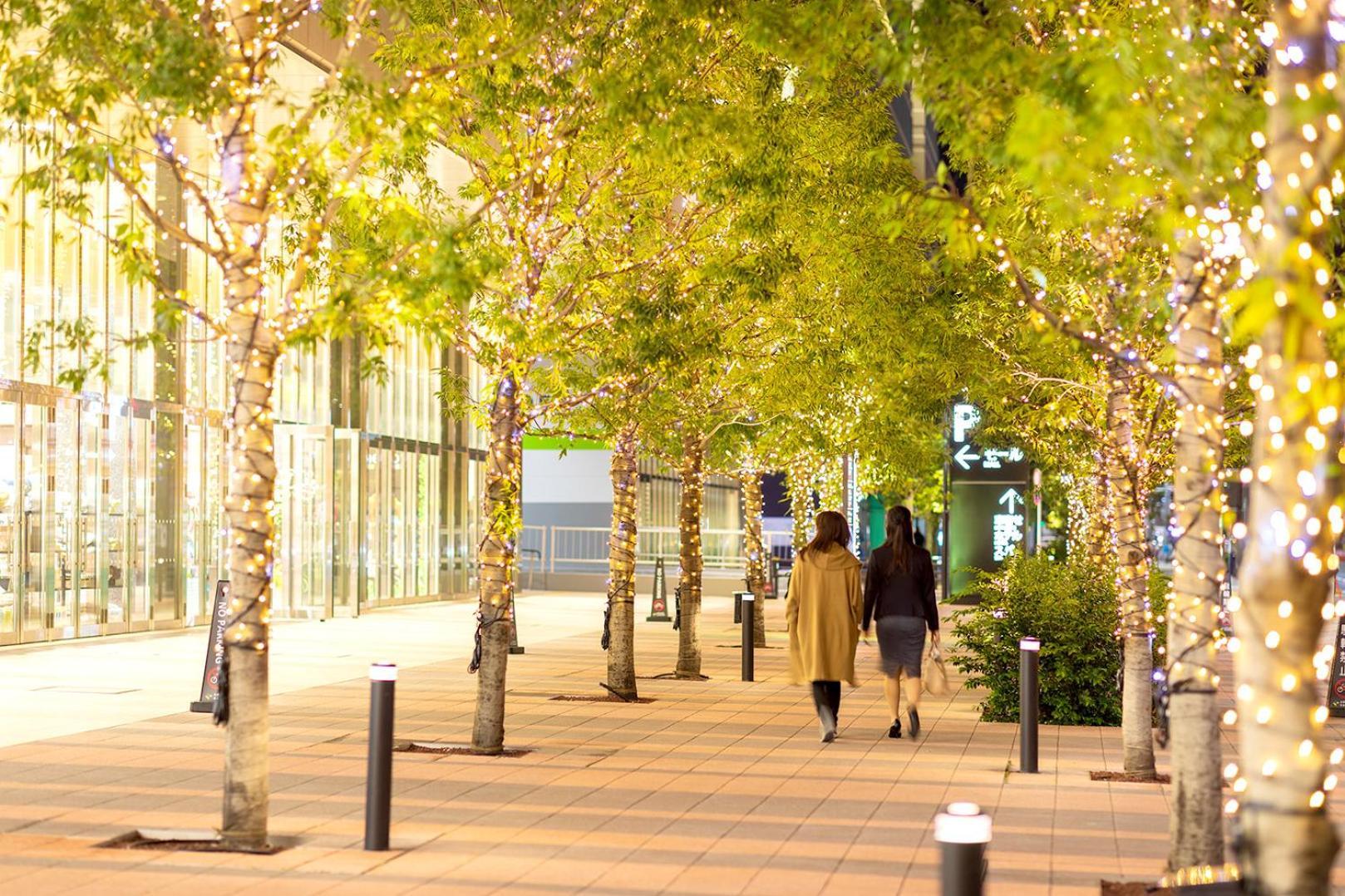 Villa Fontaine Grand Tokyo Ariake Ngoại thất bức ảnh